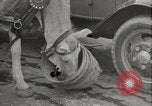 Immagine di Lavorare e giocare in Washington DC durante la Grande Depressione Washington DC USA, 1936, secondo 30 filmato di repertorio 65675069104