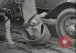 Immagine di Lavorare e giocare in Washington DC durante la Grande Depressione Washington DC USA, 1936, secondo 31 filmato di repertorio 65675069104