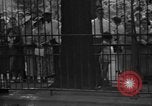 Immagine di Lavorare e giocare in Washington DC durante la Grande Depressione Washington DC USA, 1936, secondo 46 filmato di repertorio 65675069104