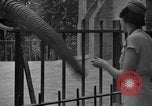 Immagine di Lavorare e giocare in Washington DC durante la Grande Depressione Washington DC USA, 1936, secondo 49 filmato di repertorio 65675069104