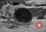 Immagine di Lavorare e giocare in Washington DC durante la Grande Depressione Washington DC USA, 1936, secondo 55 filmato di repertorio 65675069104