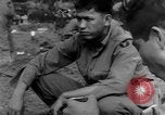 Image Campagne d'Italie des États-Unis à l'offensive Dragoni Italie, 1943, de la seconde 51 séquences d'archives historiques vidéo 65675069110