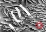 Image of United States soldiers Italy, 1943, second 27 stock footage video 65675069112