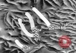 Image of United States soldiers Italy, 1943, second 29 stock footage video 65675069112