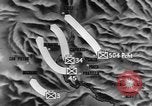 Image of United States soldiers Italy, 1943, second 30 stock footage video 65675069112
