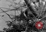 Image of United States soldiers Italy, 1943, second 49 stock footage video 65675069112
