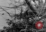Image of United States soldiers Italy, 1943, second 50 stock footage video 65675069112