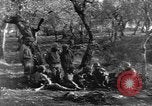 Image of American troops attack German Winter Line in Italian Campaign Italy, 1944, second 48 stock footage video 65675069115