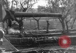 Image of United States troops Italy, 1943, second 1 stock footage video 65675069116