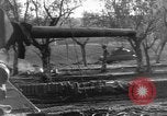 Image of United States troops Italy, 1943, second 3 stock footage video 65675069116