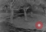 Image of United States troops Italy, 1943, second 8 stock footage video 65675069116