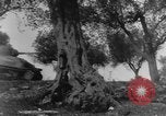 Image of United States troops Italy, 1943, second 13 stock footage video 65675069116