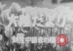 Immagine di I bambini cinesi Cina, 1944, secondo 31 filmato di repertorio 65675069119