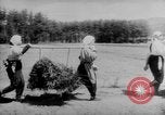 Standbild Nagano Frauen Nagano Japan, 1944, aus Sekunde 43 historischem Filmmaterial Videoclip 65675069122