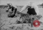 Standbild Nagano Frauen Nagano Japan, 1944, aus Sekunde 52 historischem Filmmaterial Videoclip 65675069122
