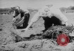 Standbild Nagano Frauen Nagano Japan, 1944, aus Sekunde 53 historischem Filmmaterial Videoclip 65675069122