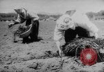Standbild Nagano Frauen Nagano Japan, 1944, aus Sekunde 54 historischem Filmmaterial Videoclip 65675069122