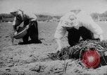 Standbild Nagano Frauen Nagano Japan, 1944, aus Sekunde 55 historischem Filmmaterial Videoclip 65675069122