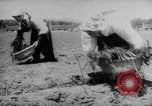 Standbild Nagano Frauen Nagano Japan, 1944, aus Sekunde 56 historischem Filmmaterial Videoclip 65675069122