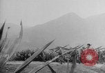 Standbild japanische Truppen China Fukien, 1938, aus Sekunde 26 historischem Filmmaterial Videoclip 65675069123