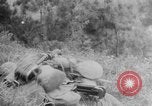 Standbild japanische Truppen China Fukien, 1938, aus Sekunde 53 historischem Filmmaterial Videoclip 65675069123