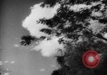 Standbild japanische Propaganda Corps Männer Philippinen, 1942, aus Sekunde 11 historischem Filmmaterial Videoclip 65675069129