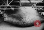 Standbild Luftschiffe United States USA, 1942, aus Sekunde 29 historischem Filmmaterial Videoclip 65675069131