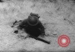 Standbild philippinischen Soldaten California United States USA, 1942, aus Sekunde 46 historischem Filmmaterial Videoclip 65675069135
