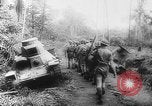 Image of American and Australian troops operating in jungles New Guinea, 1943, second 7 stock footage video 65675069142