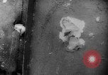 Image of American and Australian troops operating in jungles New Guinea, 1943, second 28 stock footage video 65675069142