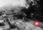 Image of American and Australian troops operating in jungles New Guinea, 1943, second 37 stock footage video 65675069142