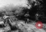 Image of American and Australian troops operating in jungles New Guinea, 1943, second 38 stock footage video 65675069142