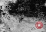 Image of American and Australian troops operating in jungles New Guinea, 1943, second 41 stock footage video 65675069142