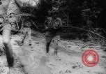 Image of American and Australian troops operating in jungles New Guinea, 1943, second 42 stock footage video 65675069142