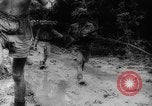 Image of American and Australian troops operating in jungles New Guinea, 1943, second 43 stock footage video 65675069142
