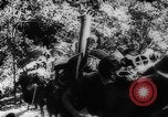 Image of American and Australian troops operating in jungles New Guinea, 1943, second 50 stock footage video 65675069142