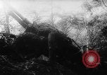 Image of American and Australian troops operating in jungles New Guinea, 1943, second 53 stock footage video 65675069142