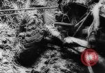 Image of American and Australian troops operating in jungles New Guinea, 1943, second 58 stock footage video 65675069142