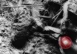 Image of American and Australian troops operating in jungles New Guinea, 1943, second 59 stock footage video 65675069142
