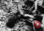 Image of American and Australian troops operating in jungles New Guinea, 1943, second 60 stock footage video 65675069142