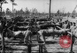 Image of invasion tactics United States USA, 1942, second 24 stock footage video 65675069156
