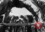 Image of invasion tactics United States USA, 1942, second 28 stock footage video 65675069156