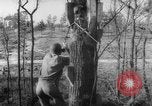 Image of invasion tactics United States USA, 1942, second 52 stock footage video 65675069156