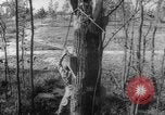 Image of invasion tactics United States USA, 1942, second 53 stock footage video 65675069156