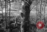 Image of invasion tactics United States USA, 1942, second 55 stock footage video 65675069156
