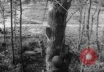 Image of invasion tactics United States USA, 1942, second 56 stock footage video 65675069156