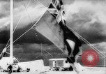 Image of British 8th Army defuses land mines and overtakes Germans North Africa, 1942, second 49 stock footage video 65675069157