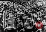 Image of Allied troops Naples Italy, 1943, second 14 stock footage video 65675069159