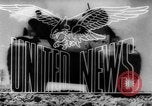 Image of Allied troops Naples Italy, 1943, second 19 stock footage video 65675069159