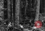 Standbild Douglas Fir Kanada, 1943, aus Sekunde 7 historischem Filmmaterial Videoclip 65675069160
